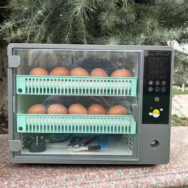 Quail Egg Incubator - New Mini Dual Power Egg Incubator
