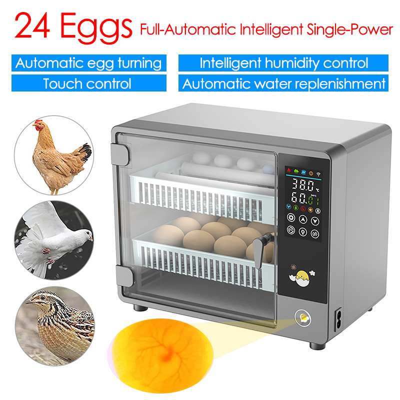 24 Egg Incubator Full Automati - Quail Egg Incubator ulasan dan harga
