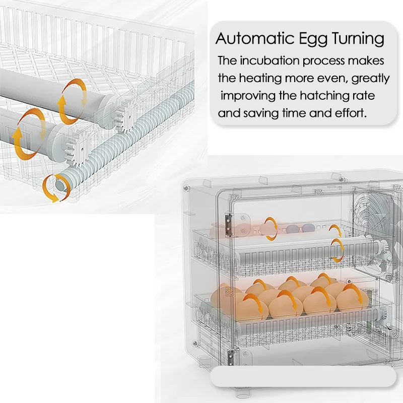 24 Egg Incubator Full Automati - Quail Egg Incubator ulasan dan harga