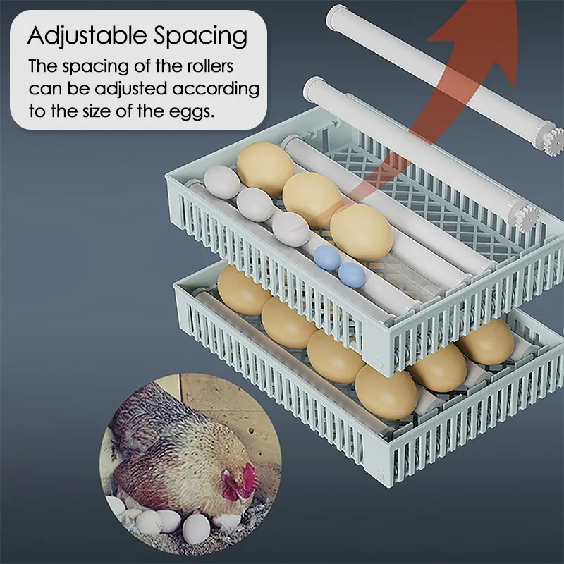 24 Egg Incubator Full Automati - Quail Egg Incubator ulasan dan harga