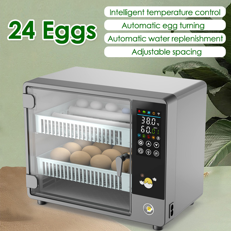 24 Eggs Full Automatic Turning - Quail Egg Incubator ulasan dan harga