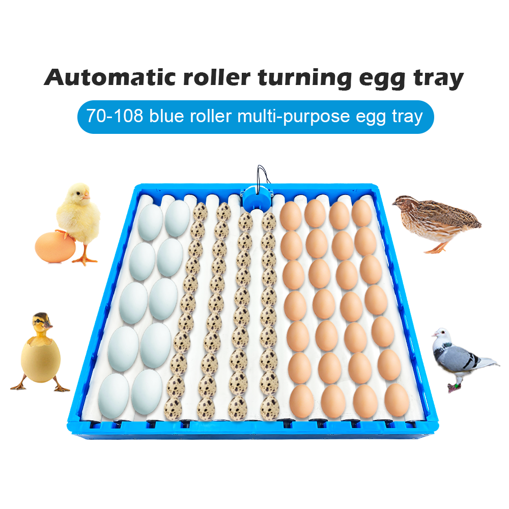 Automatic 360 Degree Rotary Eg - Quail Egg Incubator ulasan dan harga