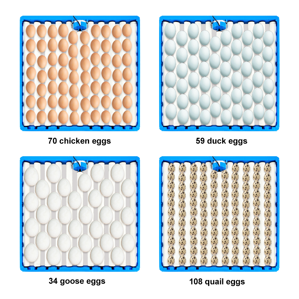 Automatic 360 Degree Rotary Eg - Quail Egg Incubator ulasan dan harga