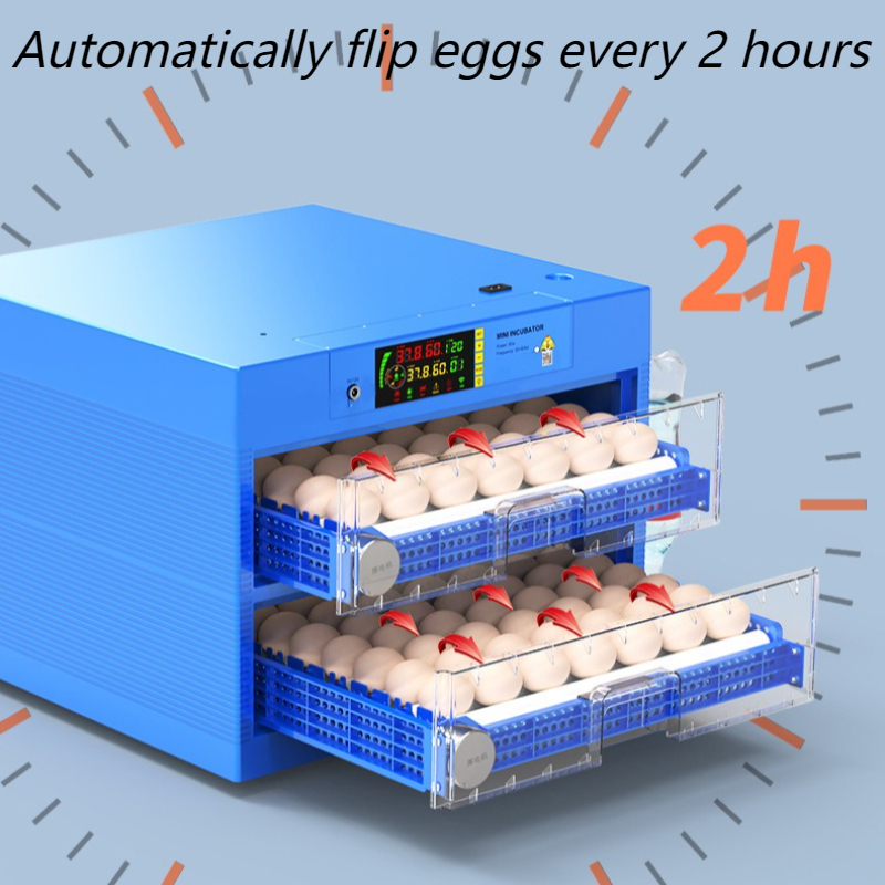 Smart Incubator Automatic Hous - Quail Egg Incubator ulasan dan harga
