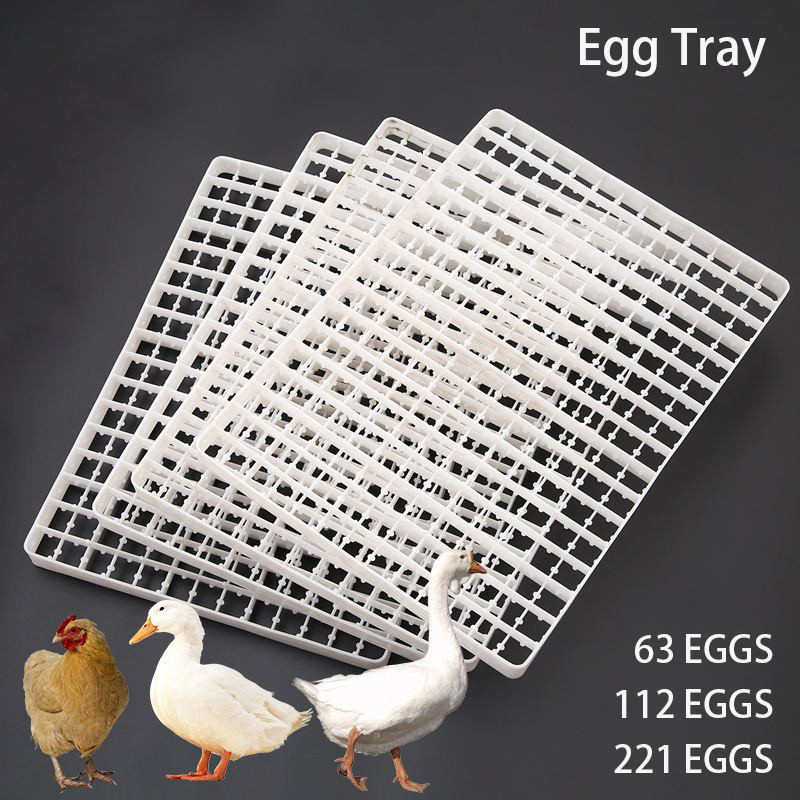 1Pcs Egg Tray For Incubator Au - Quail Egg Incubator ulasan dan harga