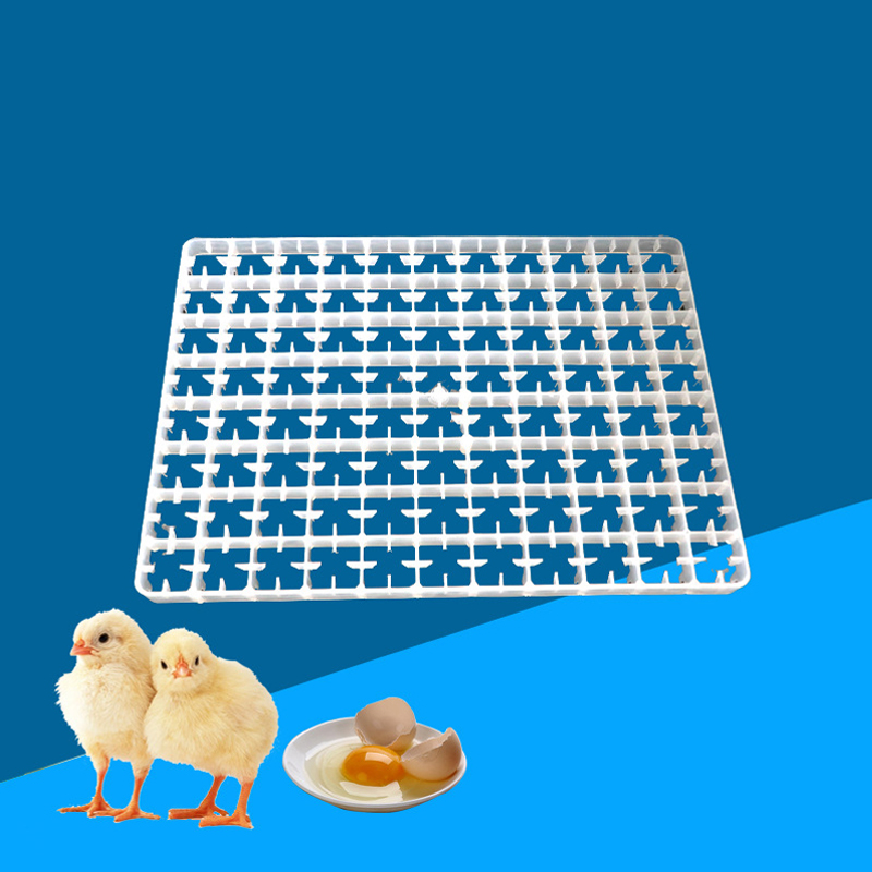 1Pcs Egg Tray For Incubator Au - Quail Egg Incubator ulasan dan harga