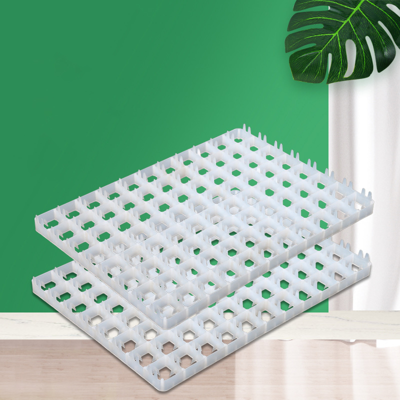 1Pcs Egg Tray For Incubator Au - Quail Egg Incubator ulasan dan harga