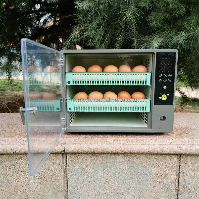 New Mini Dual Power Egg Incuba - Quail Egg Incubator ulasan dan harga