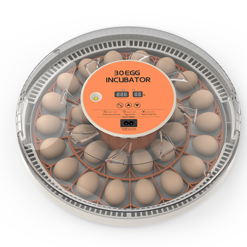 STLF30 Eggs Home Use Incubator - Quail Egg Incubator ulasan dan harga