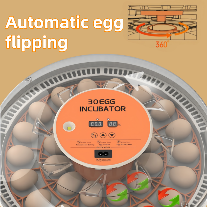 STLF30 Eggs Home Use Incubator - Quail Egg Incubator ulasan dan harga