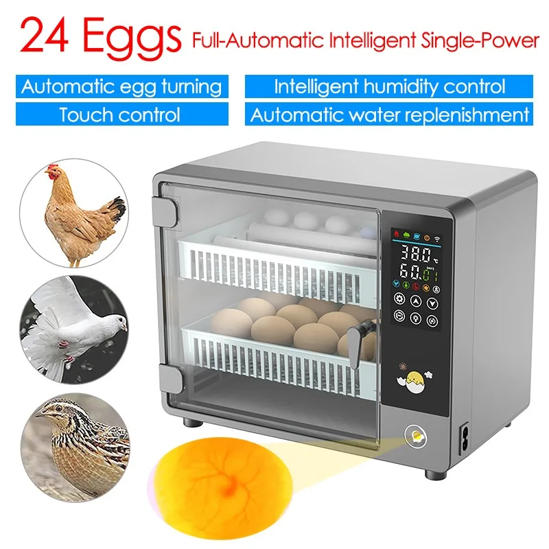24 Eggs Incubator Fully Automa - Quail Egg Incubator ulasan dan harga