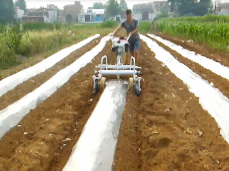 Mini Powered 5HP High Producti - Seed Planter ulasan dan harga