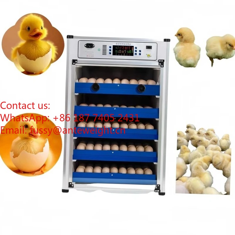 2026 Commercial-Grade 100 Eggs - Quail Egg Incubator ulasan dan harga