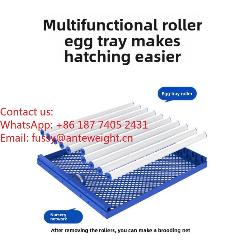2026 Commercial-Grade 100 Eggs - Quail Egg Incubator ulasan dan harga