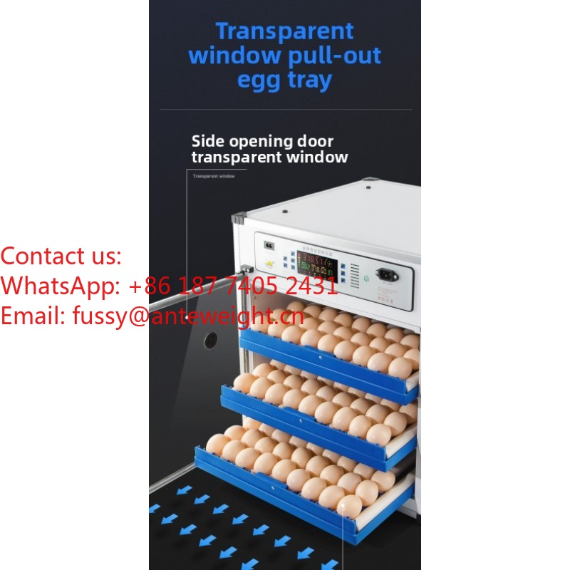 2026 Commercial-Grade 100 Eggs - Quail Egg Incubator ulasan dan harga