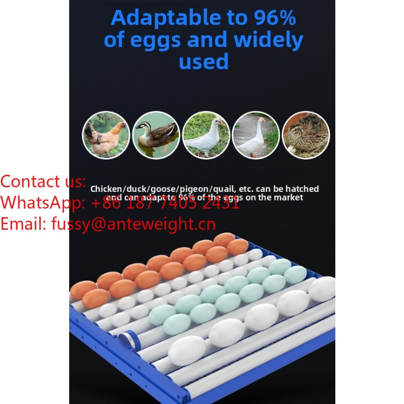 2026 Commercial-Grade 100 Eggs - Quail Egg Incubator ulasan dan harga