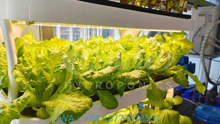 c Agriculture Machine to Growi - Farming Agriculture Equipment ulasan dan harga