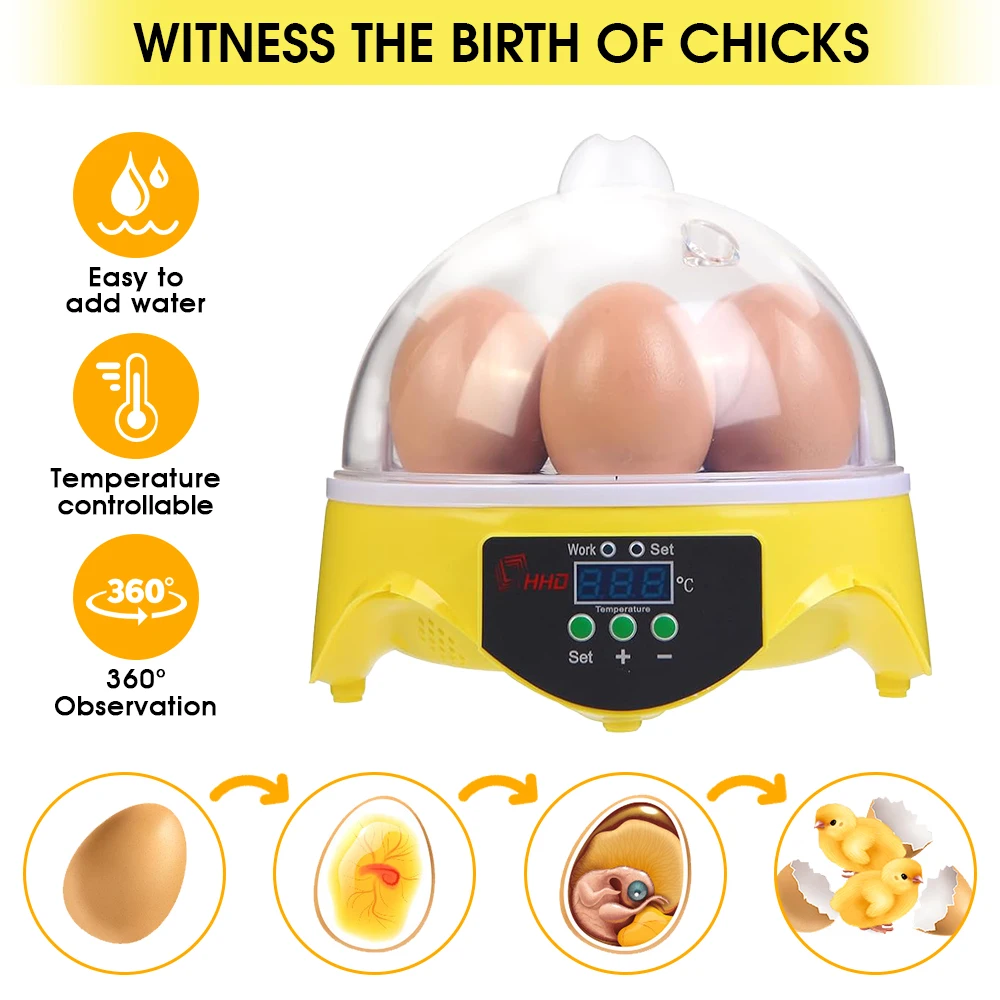 7 Capacity- Mini Sized Intelli - Quail Egg Incubator ulasan dan harga