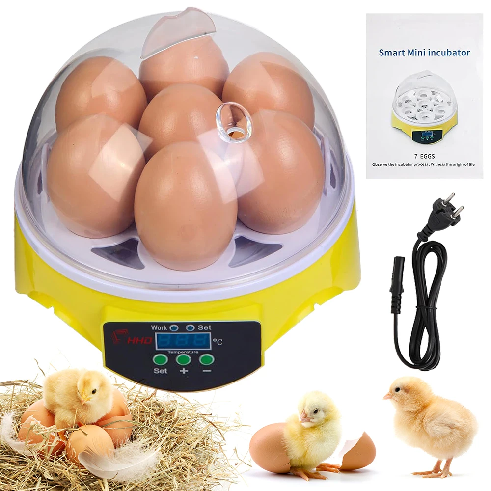7 Capacity- Mini Sized Intelli - Quail Egg Incubator ulasan dan harga