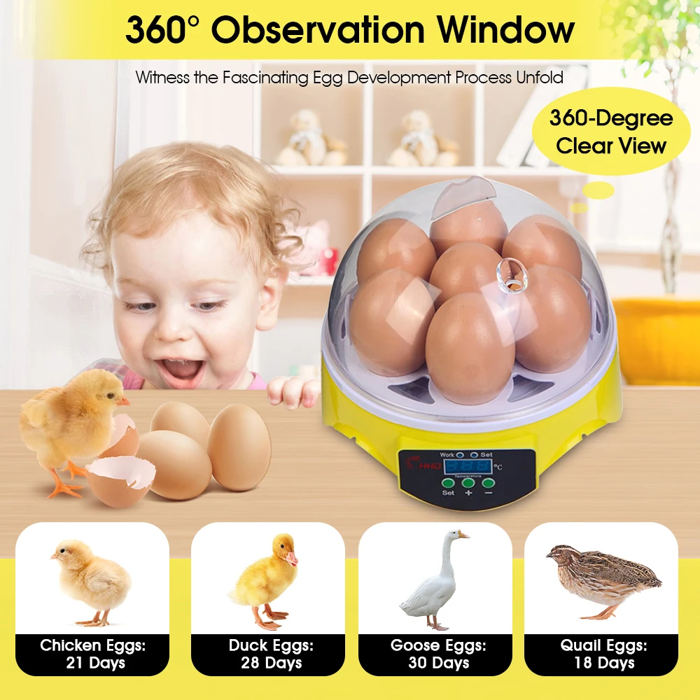 7 Capacity- Mini Sized Intelli - Quail Egg Incubator ulasan dan harga