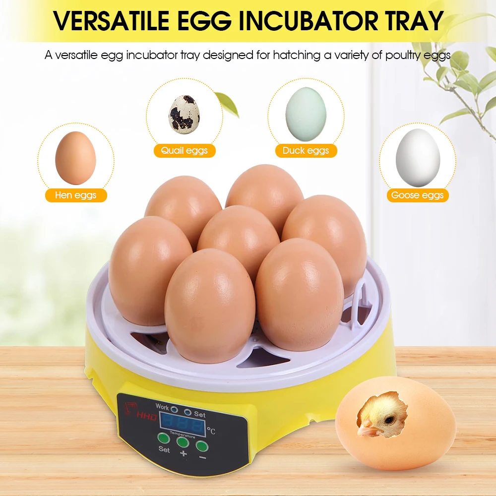 7 Capacity- Mini Sized Intelli - Quail Egg Incubator ulasan dan harga