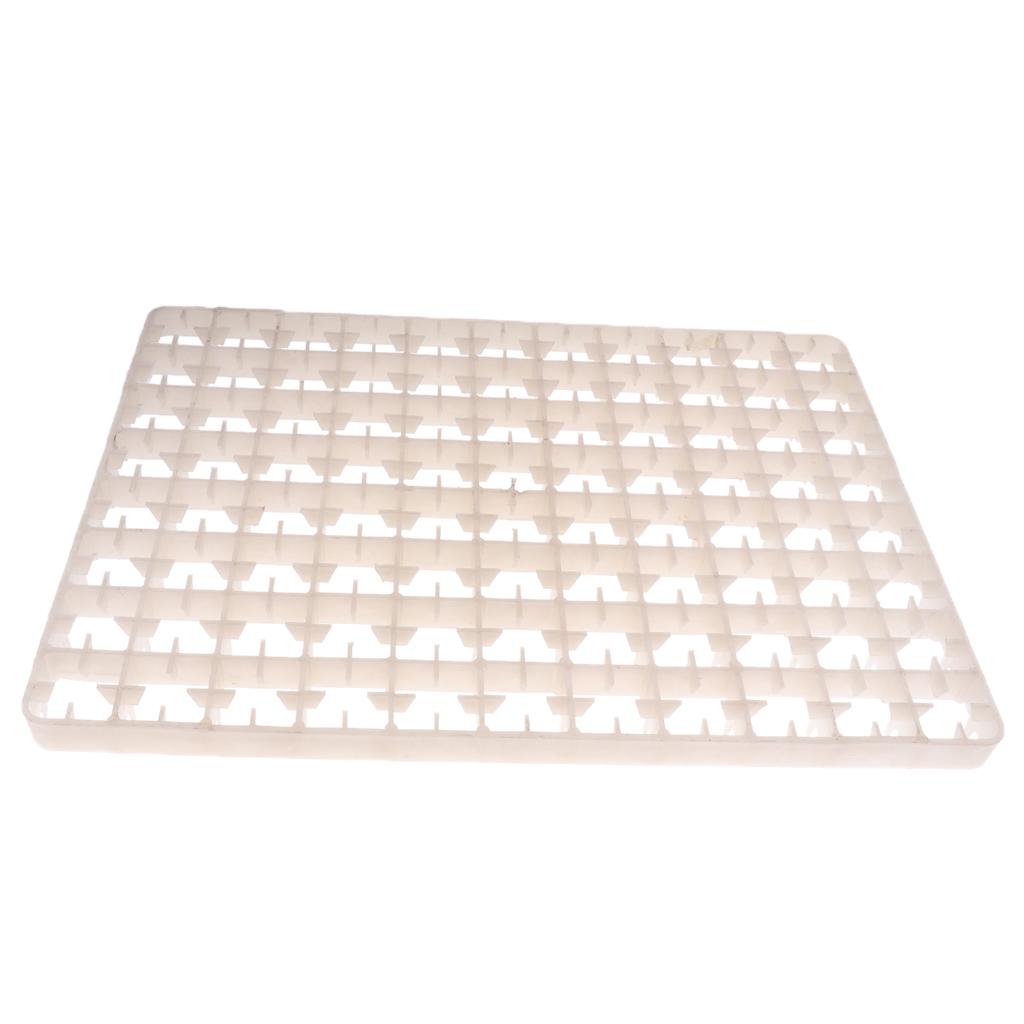 Poultry Bird Egg Incubator Tra - Quail Egg Incubator ulasan dan harga