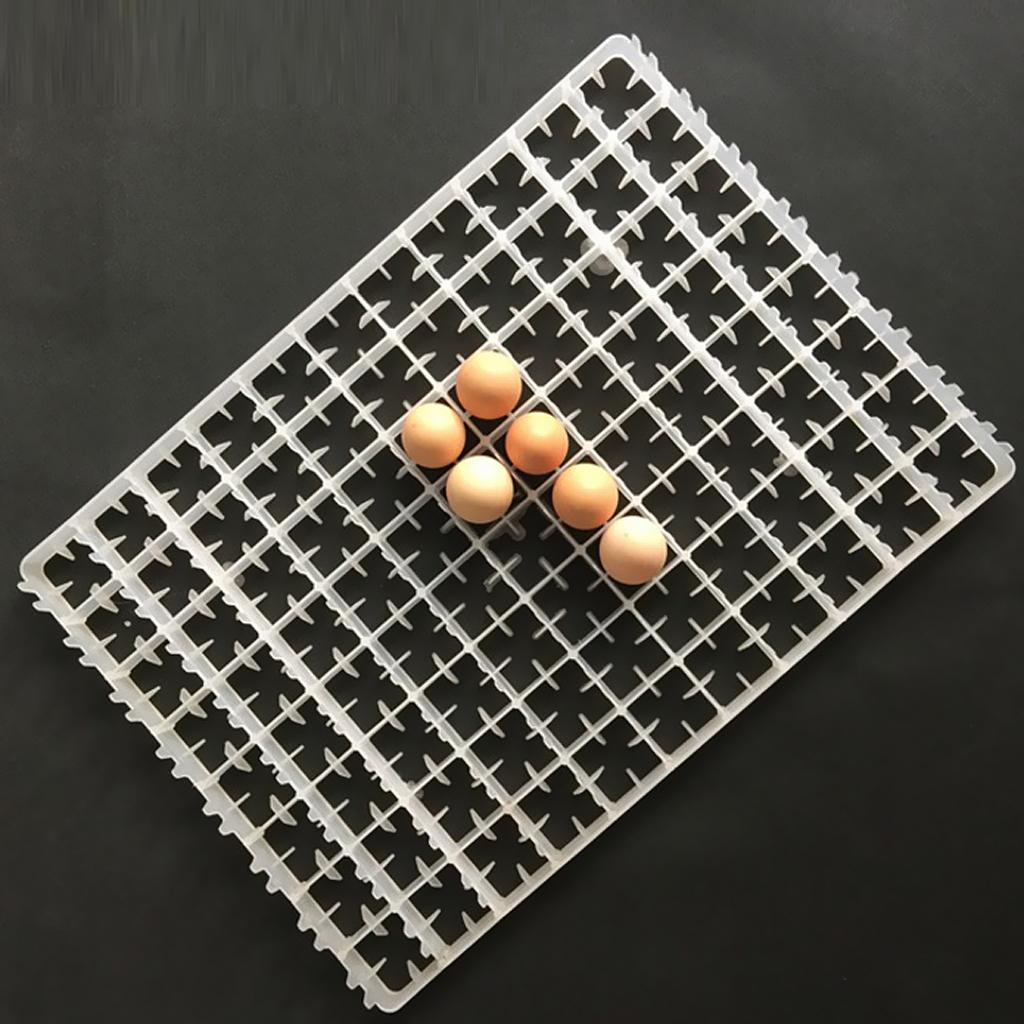 Poultry Bird Egg Incubator Tra - Quail Egg Incubator ulasan dan harga