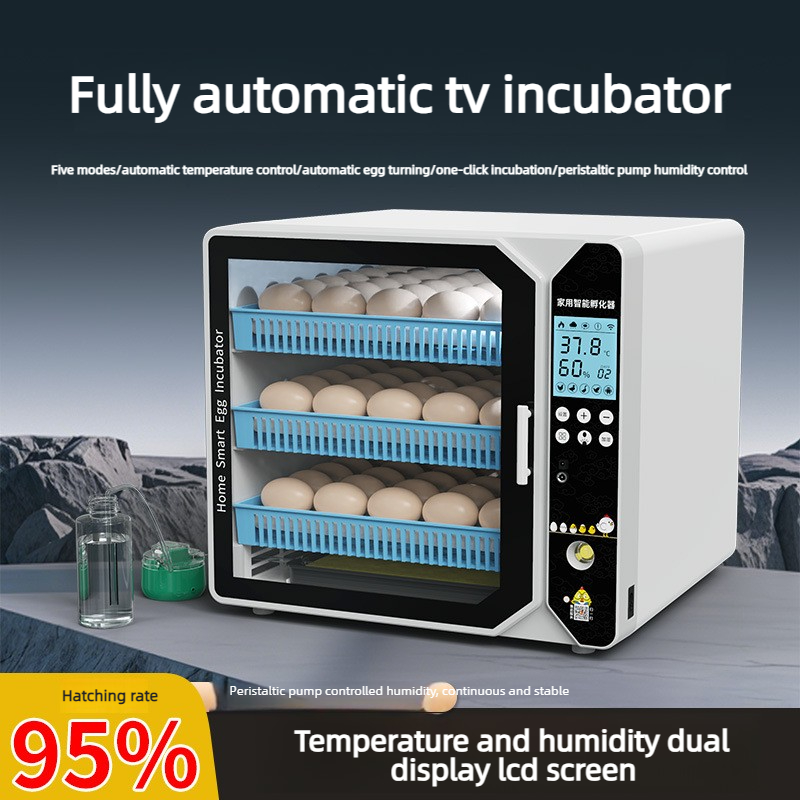 Incubator Smart Incubation Box - Quail Egg Incubator ulasan dan harga