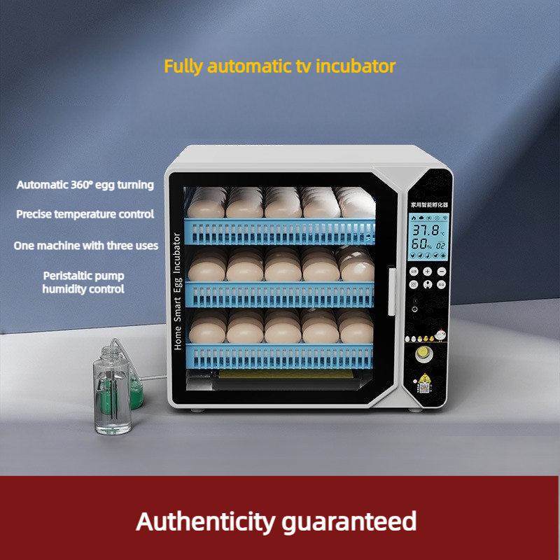 Incubator Smart Incubation Box - Quail Egg Incubator ulasan dan harga