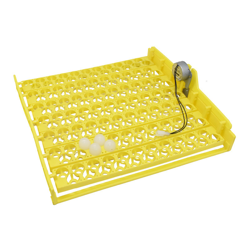 154 eggs quail brooding tools  - Quail Egg Incubator ulasan dan harga
