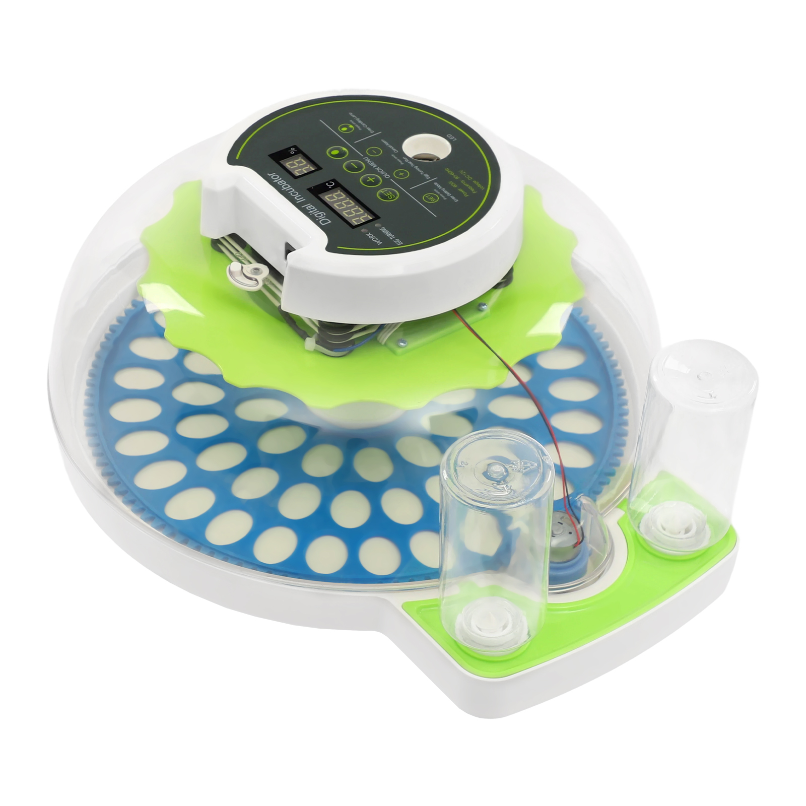 For 60 Quail Eggs Green +Blue  - Quail Egg Incubator ulasan dan harga