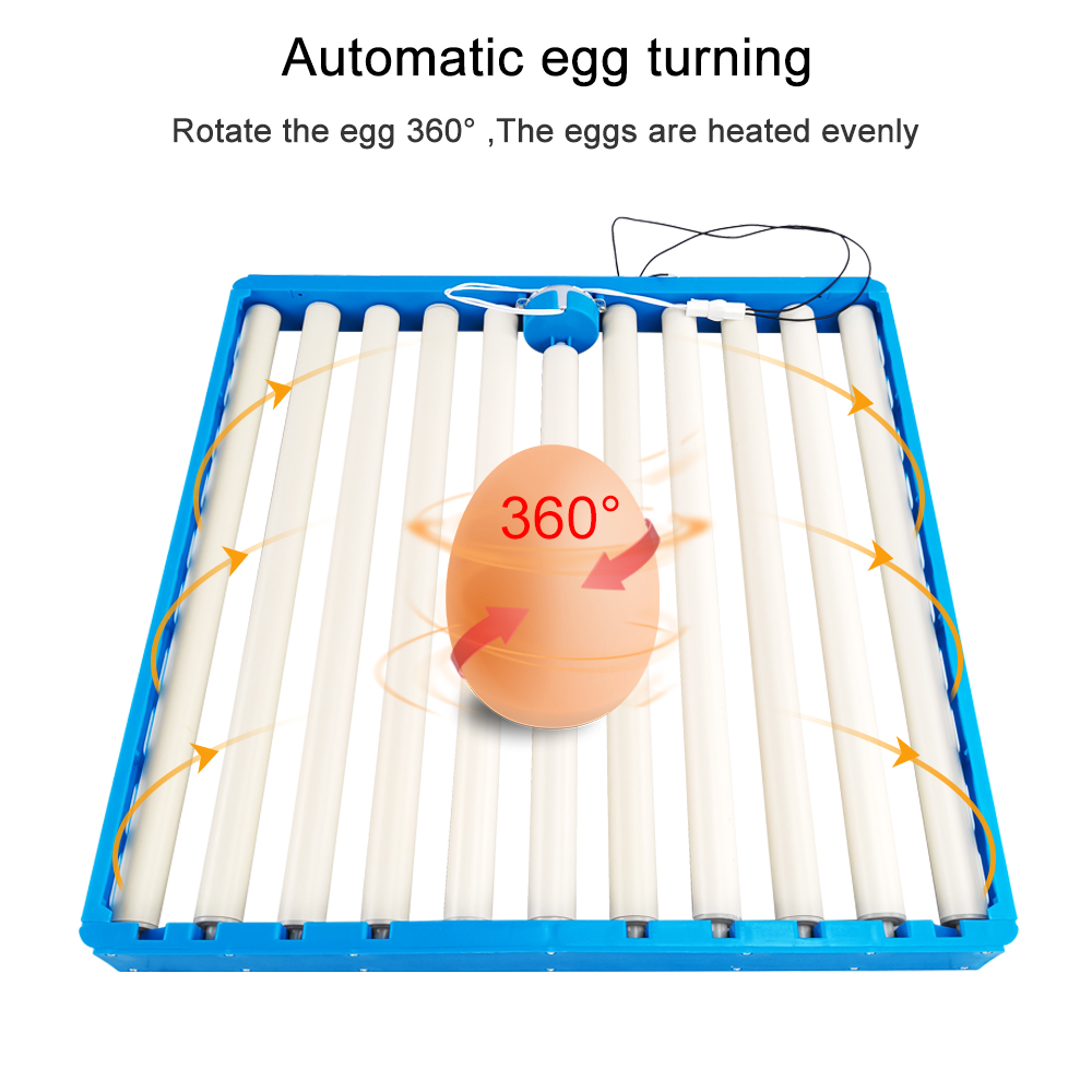 360° Automatic Rotary Egg Tray - Quail Egg Incubator ulasan dan harga